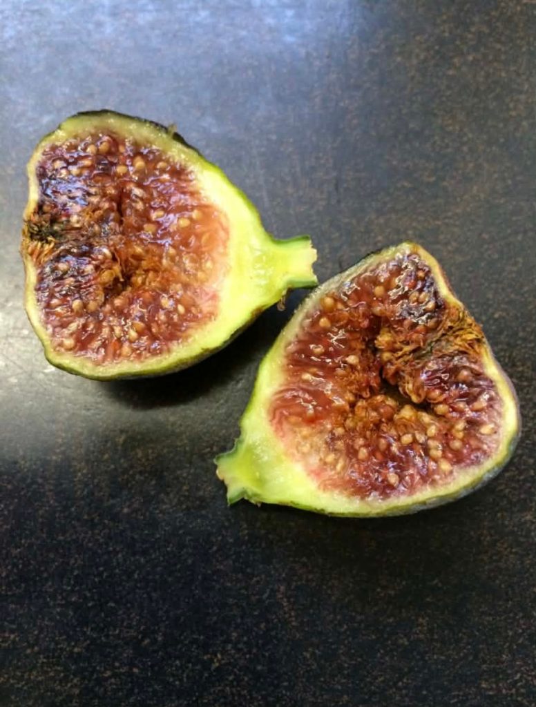 小果迷-种植爱好者交流互动平台