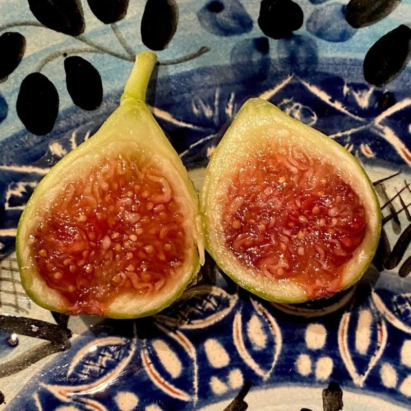 小果迷-种植爱好者交流互动平台