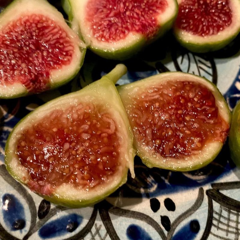 小果迷-种植爱好者交流互动平台