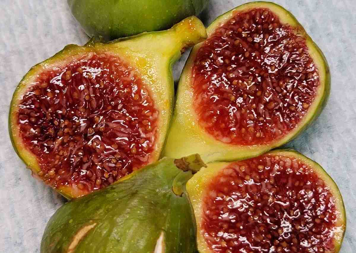 小果迷-种植爱好者交流互动平台