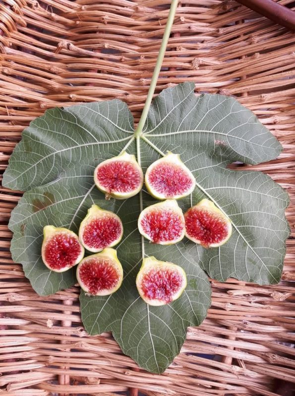 圣洛伦佐教堂2号（西罗系）San Lorenzo church 2 (siro)-小果迷