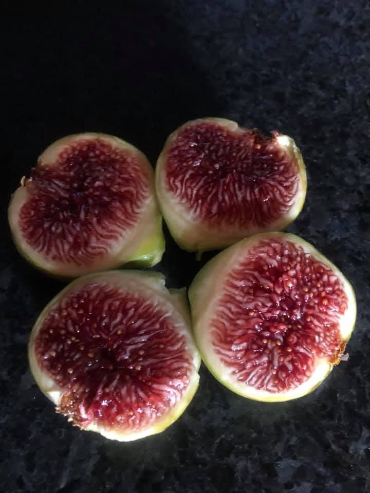 小果迷-种植爱好者交流互动平台