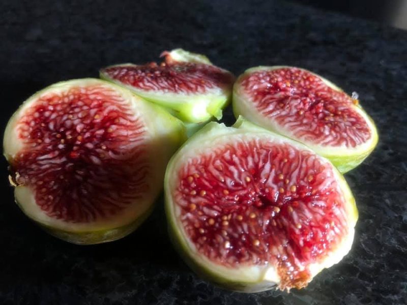 小果迷-种植爱好者交流互动平台