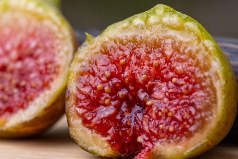 小果迷-种植爱好者交流互动平台