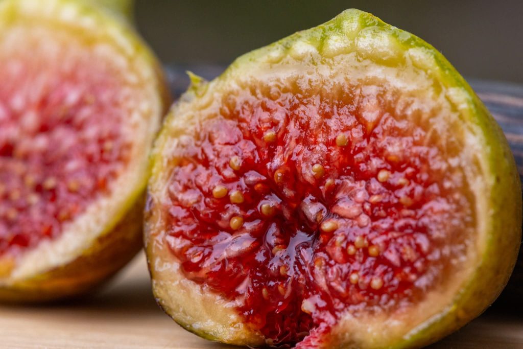 小果迷-种植爱好者交流互动平台