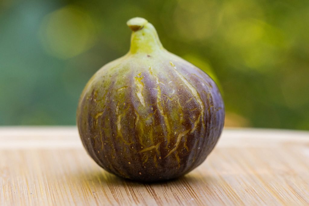 小果迷-种植爱好者交流互动平台