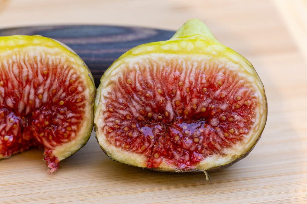 小果迷-种植爱好者交流互动平台