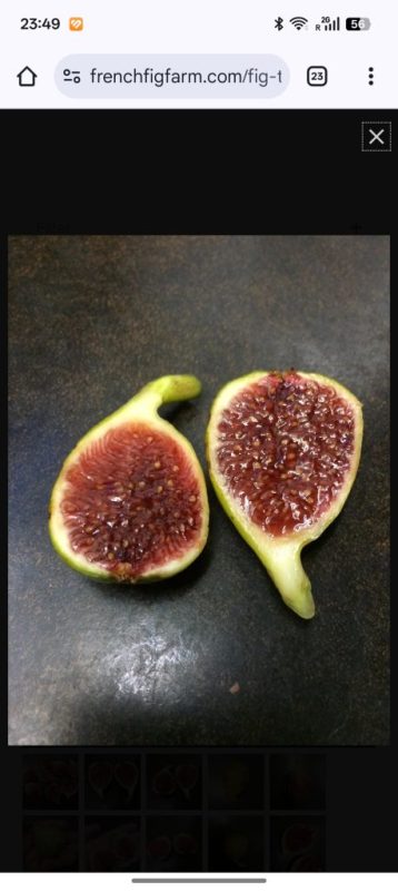 小果迷-种植爱好者交流互动平台