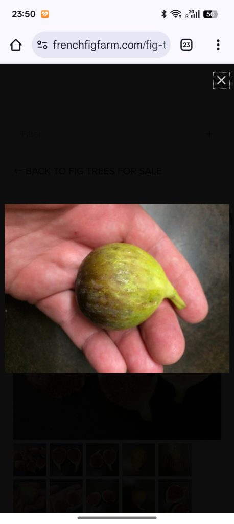 小果迷-种植爱好者交流互动平台