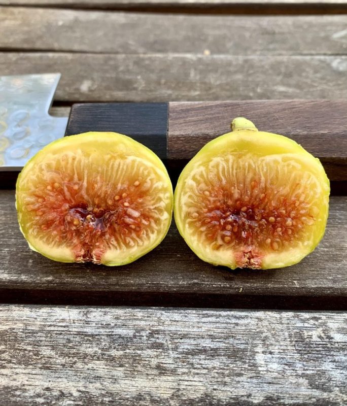 小果迷-种植爱好者交流互动平台