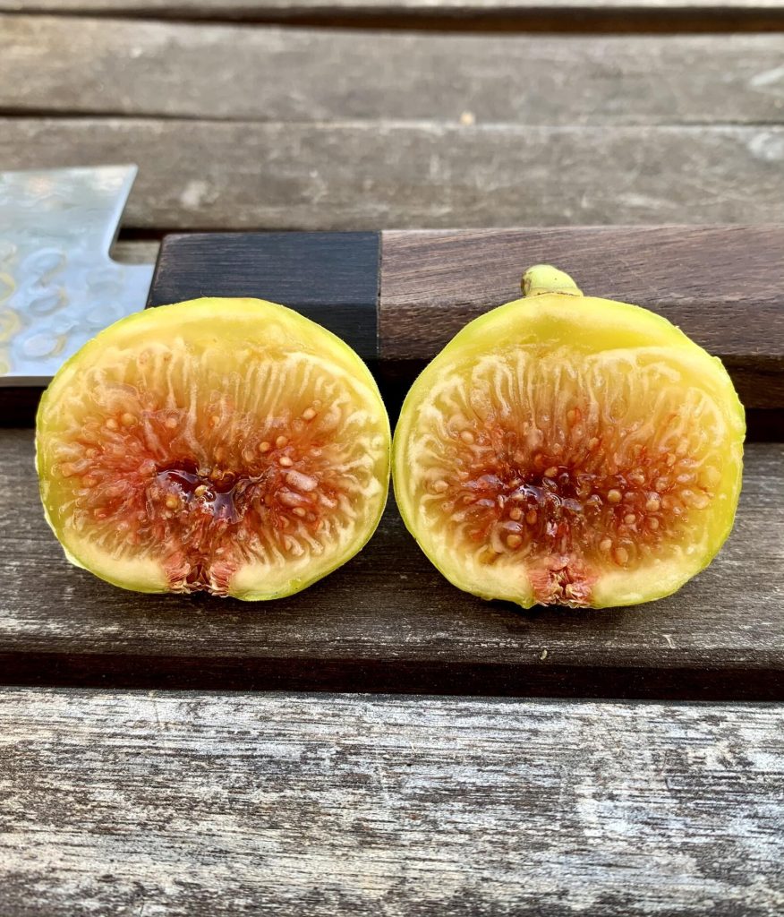 小果迷-种植爱好者交流互动平台