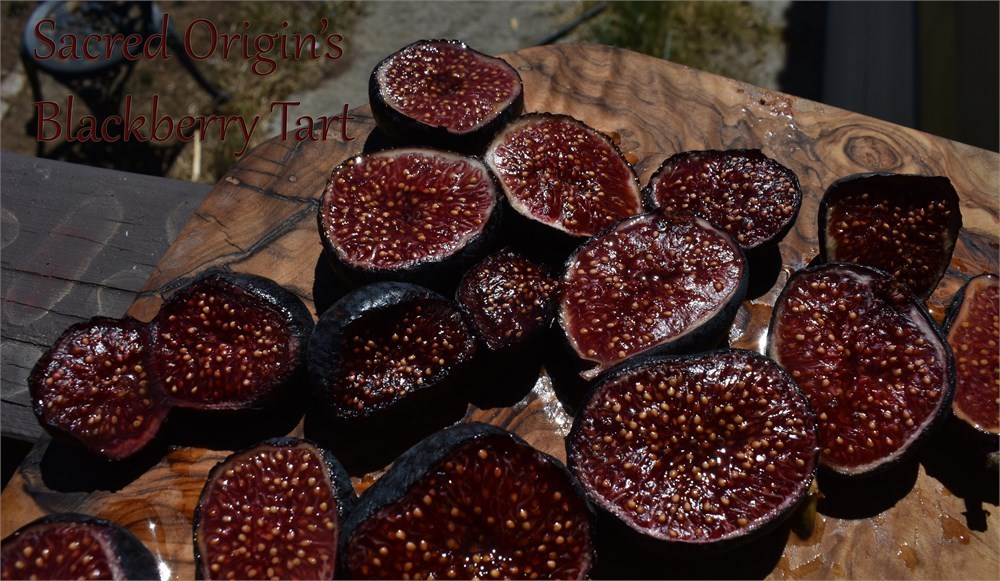 小果迷-种植爱好者交流互动平台