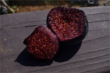 小果迷-种植爱好者交流互动平台