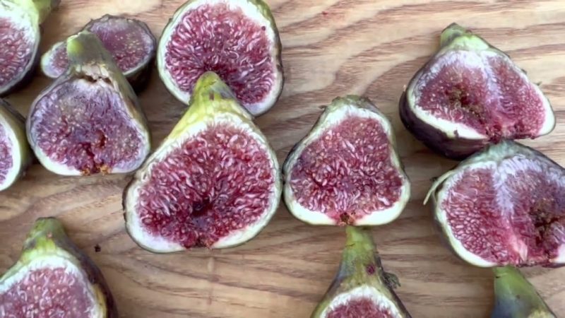 小果迷-种植爱好者交流互动平台