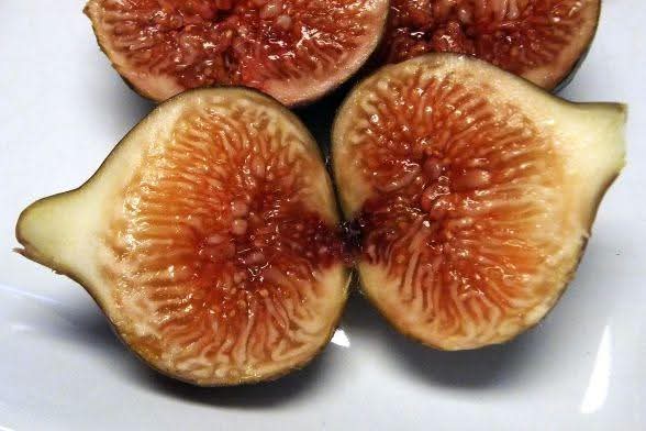 小果迷-种植爱好者交流互动平台