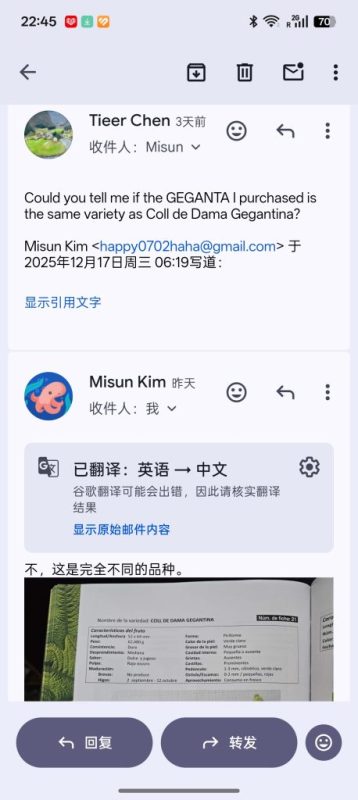 巨媛/赫甘塔 Geganta MP(小果迷)-小果迷