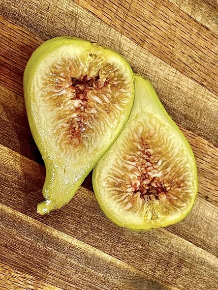 471396542_122192815586244568_5341894824033200242_n