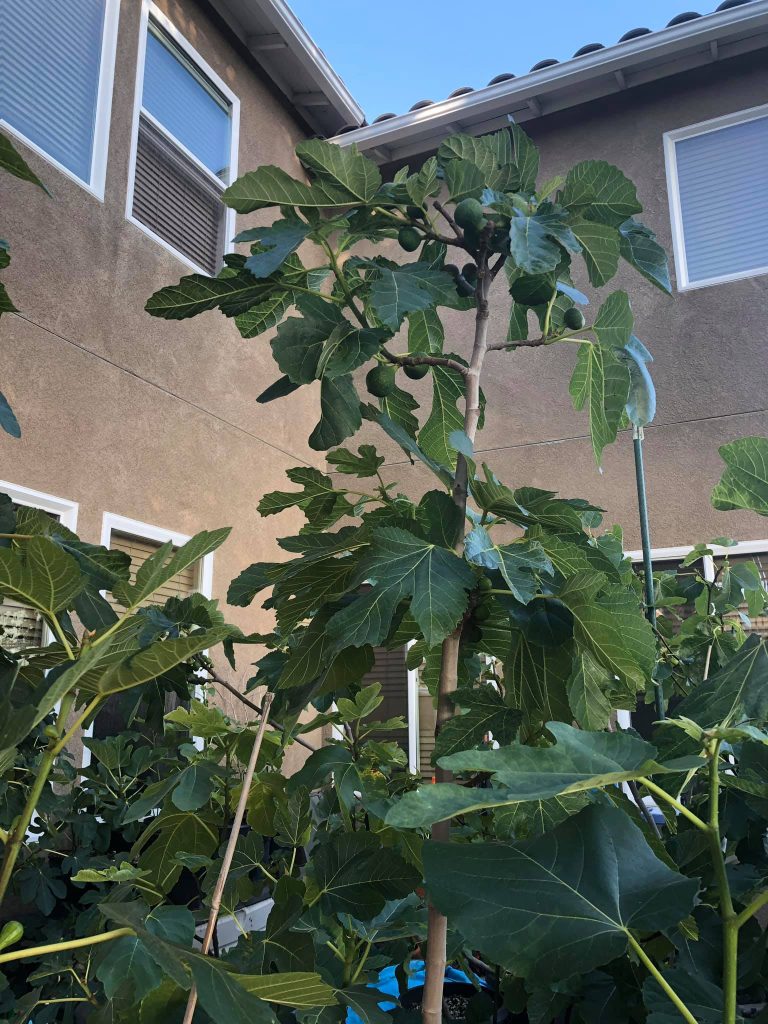 _whc5fde12b76754e_ypzOM1oLtr_3yoJojA8V9