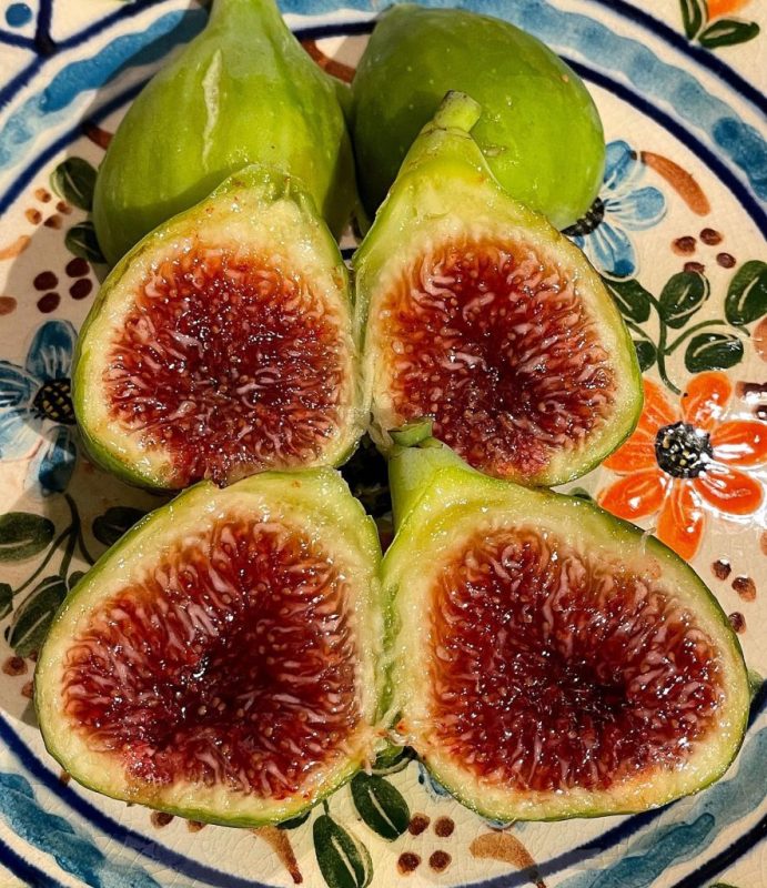 小果迷-种植爱好者交流互动平台