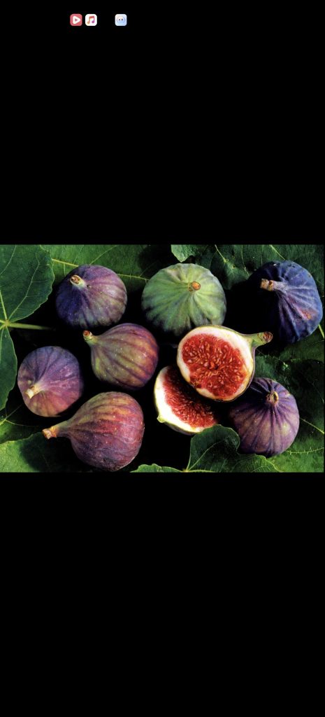 小果迷-种植爱好者交流互动平台