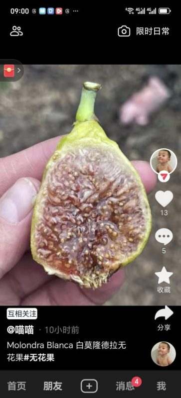 小果迷-种植爱好者交流互动平台