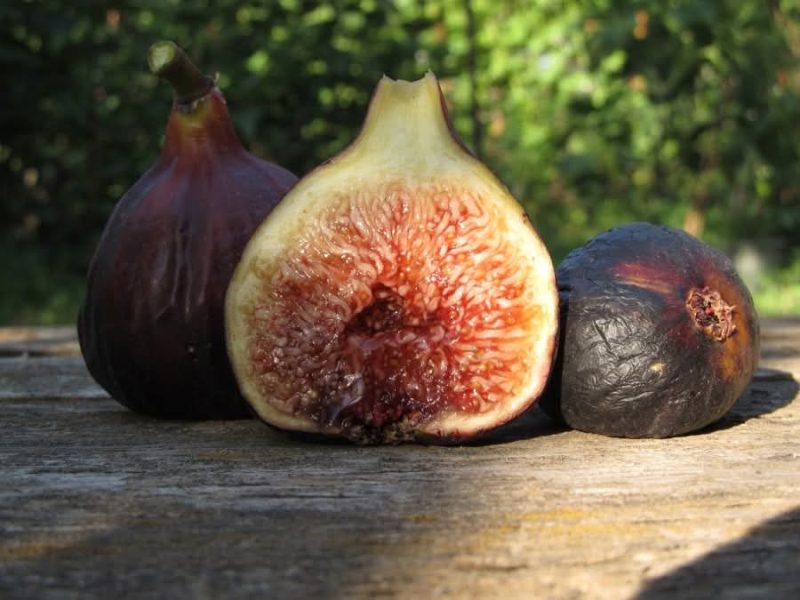 小果迷-种植爱好者交流互动平台