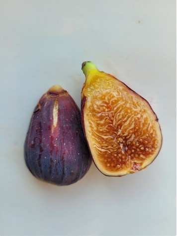 小果迷-种植爱好者交流互动平台