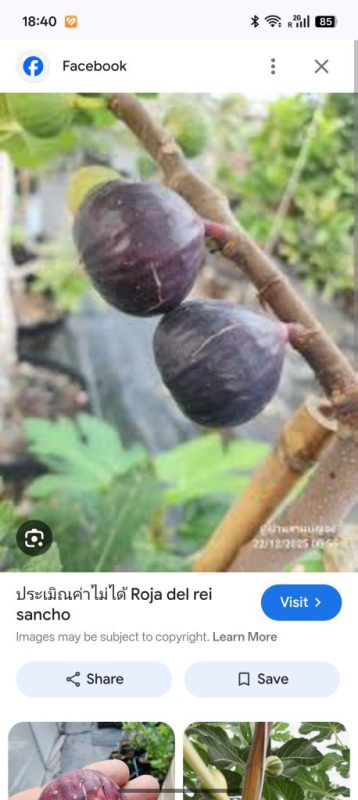 小果迷-种植爱好者交流互动平台