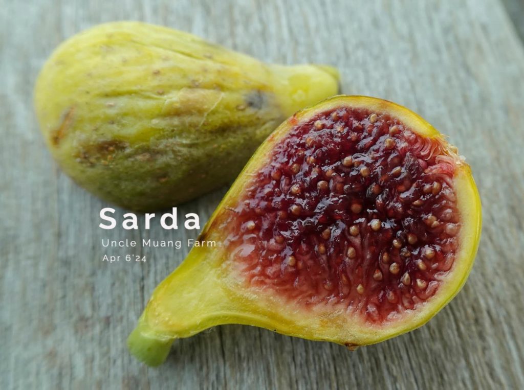 小果迷-种植爱好者交流互动平台