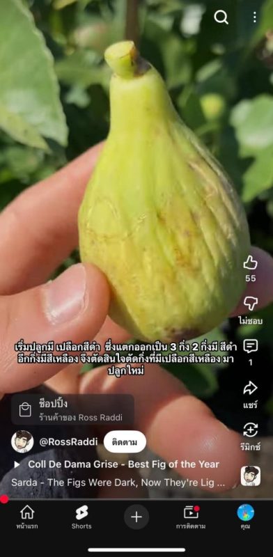 小果迷-种植爱好者交流互动平台