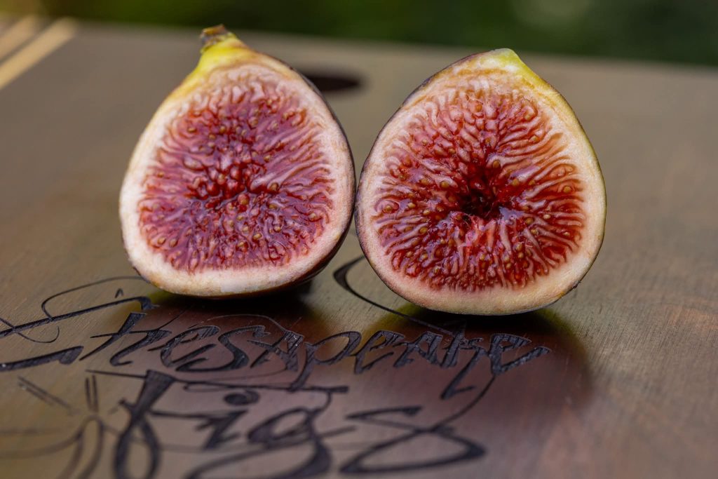 小果迷-种植爱好者交流互动平台