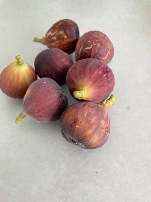 小果迷-种植爱好者交流互动平台