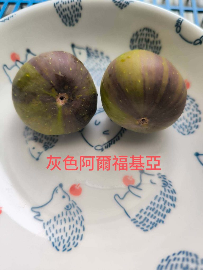 评论图片-小果迷