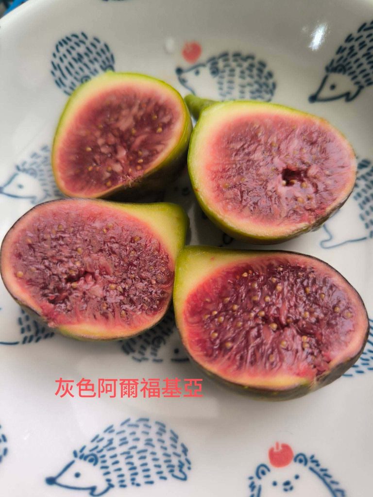 评论图片-小果迷