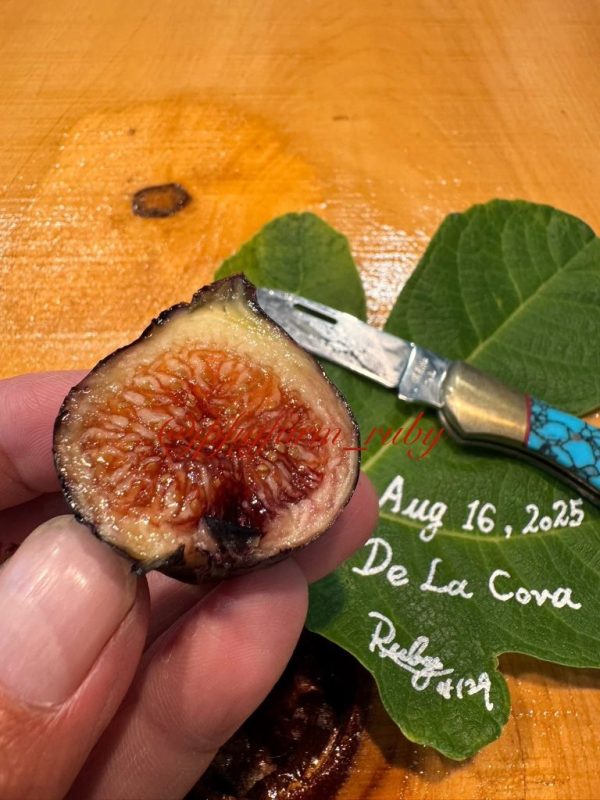 小果迷-种植爱好者交流互动平台