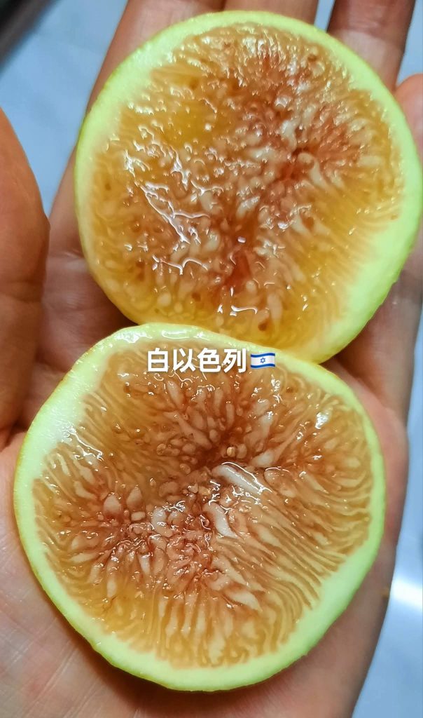 评论图片-小果迷