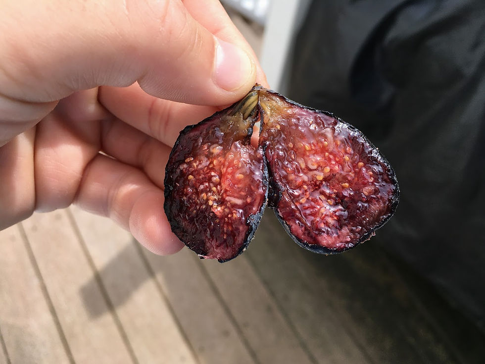 小果迷-种植爱好者交流互动平台