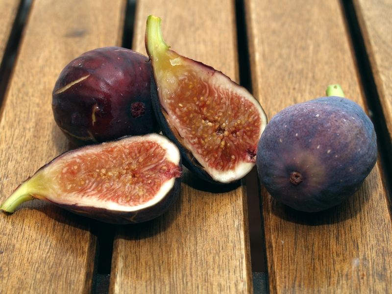 小果迷-种植爱好者交流互动平台