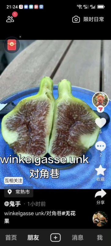 对角巷 WG/Winkelgasse UNK(鬼手)-小果迷