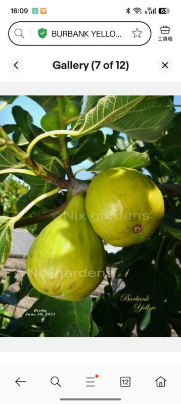 小果迷-种植爱好者交流互动平台