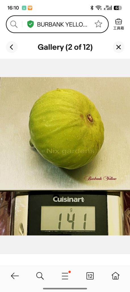 小果迷-种植爱好者交流互动平台