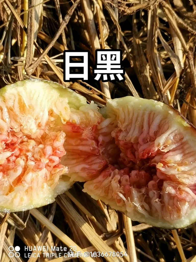 评论图片-小果迷