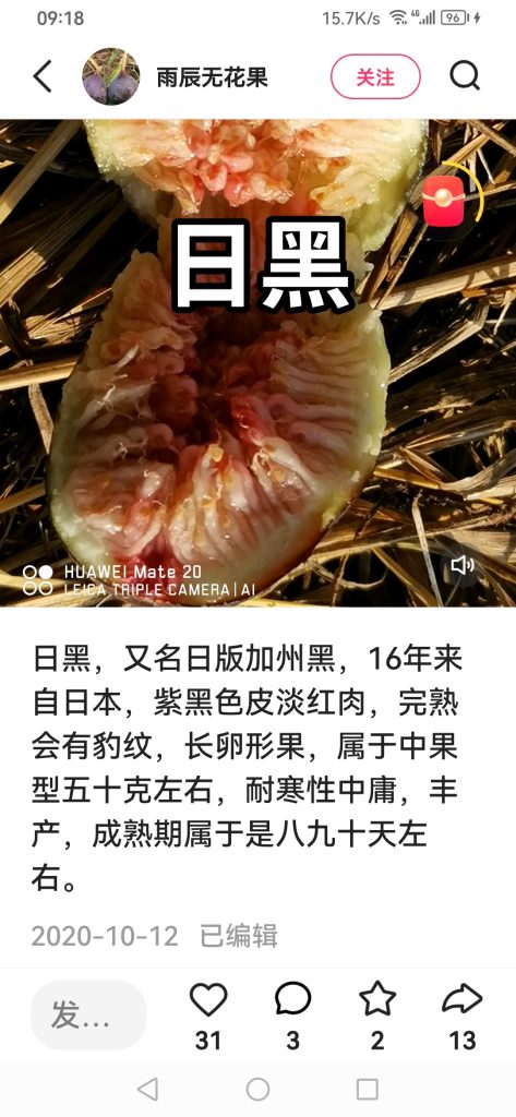 评论图片-小果迷