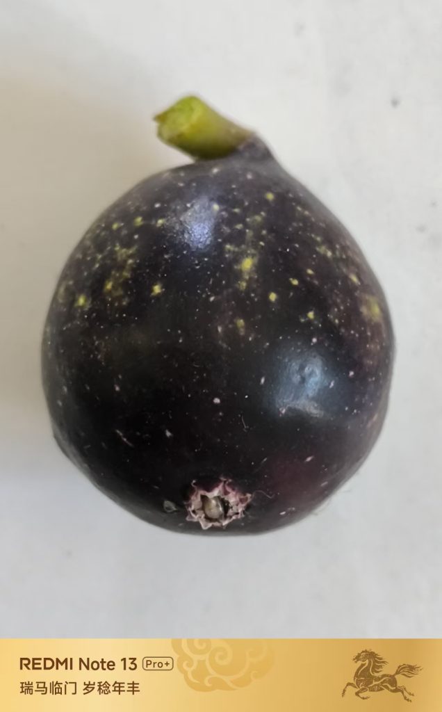 mmexport1771296623056