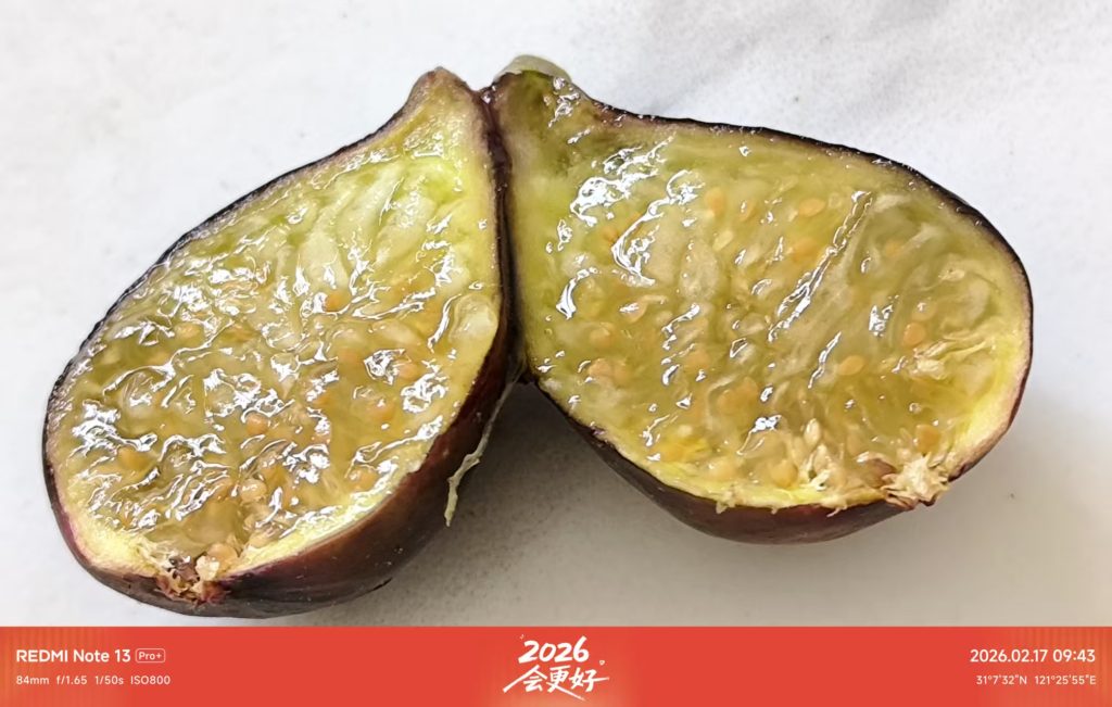 mmexport1771296642500