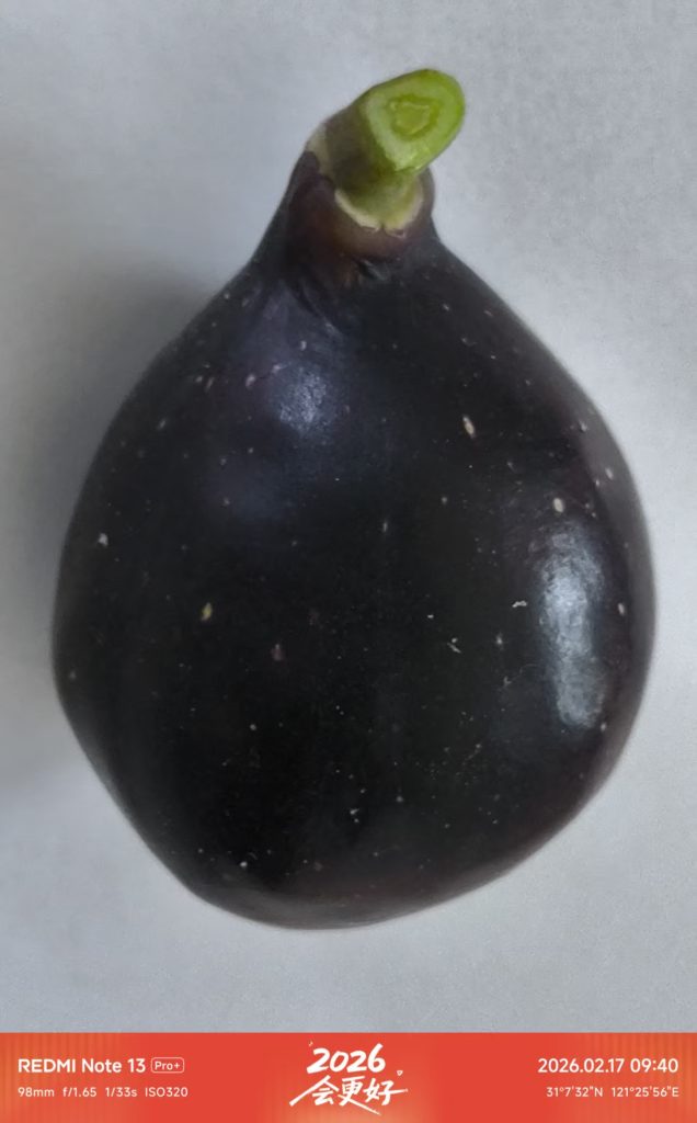 mmexport1771296661069