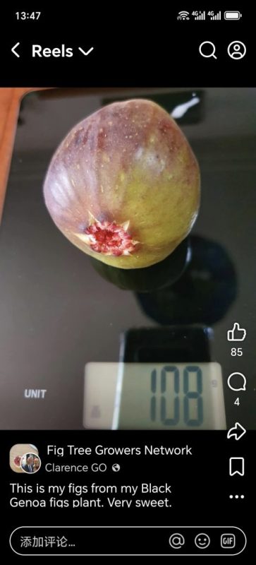 小果迷-种植爱好者交流互动平台