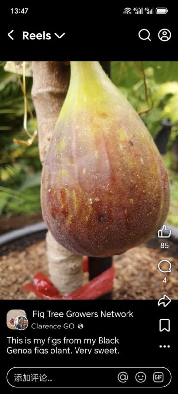 小果迷-种植爱好者交流互动平台