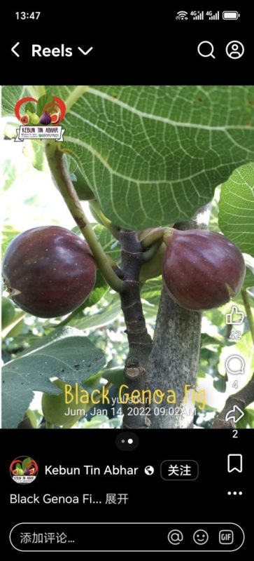 小果迷-种植爱好者交流互动平台