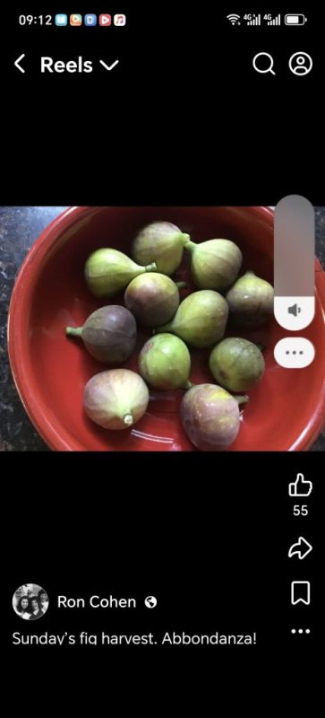 小果迷-种植爱好者交流互动平台